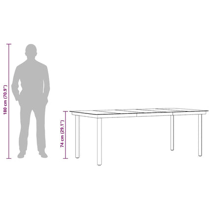 Table repas extérieure en acier noir et verre 200 x 100 cm